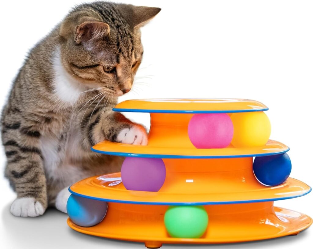 Cat Supplies