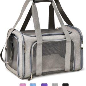 Airline-Style Soft-Sided Pet Carrier