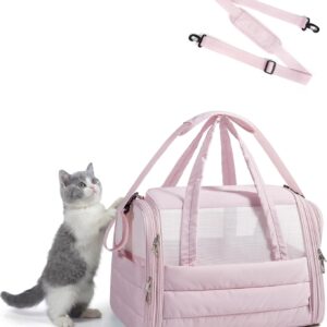Collapsible Soft-Sided Cat Travel Carrier