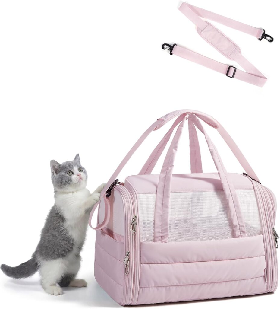 Collapsible Soft-Sided Cat Travel Carrier