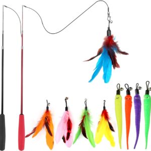 Retractable Feather Wand Cat Toy Set