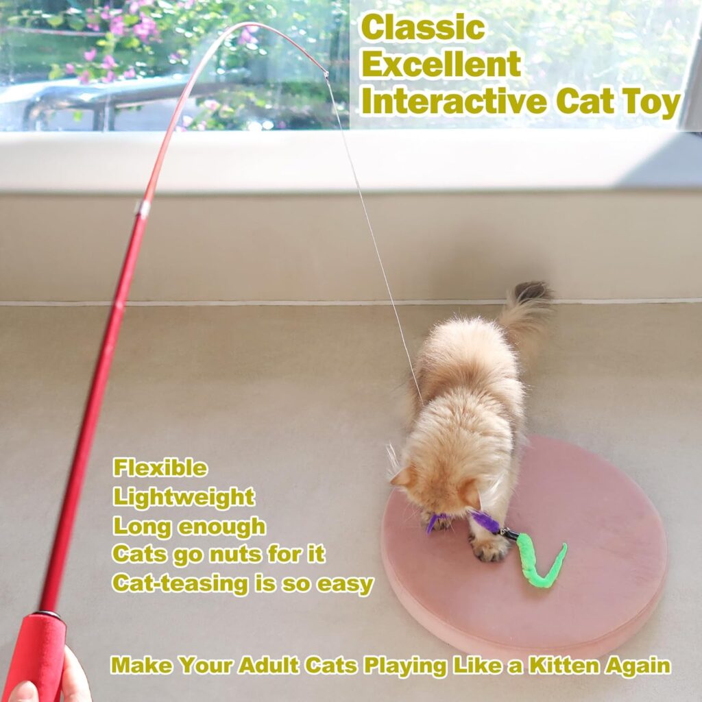 Retractable Feather Wand Cat Toy Set view 2