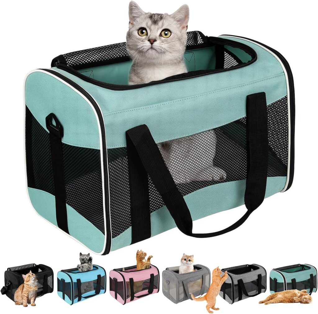 Structured Soft-Sided Pet Carrier – 17 × 11 × 11 in