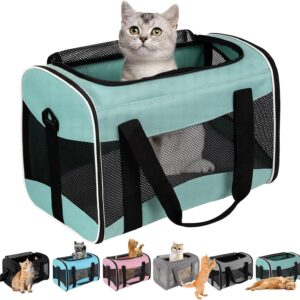 Structured Soft-Sided Pet Carrier – 17 × 11 × 11 in