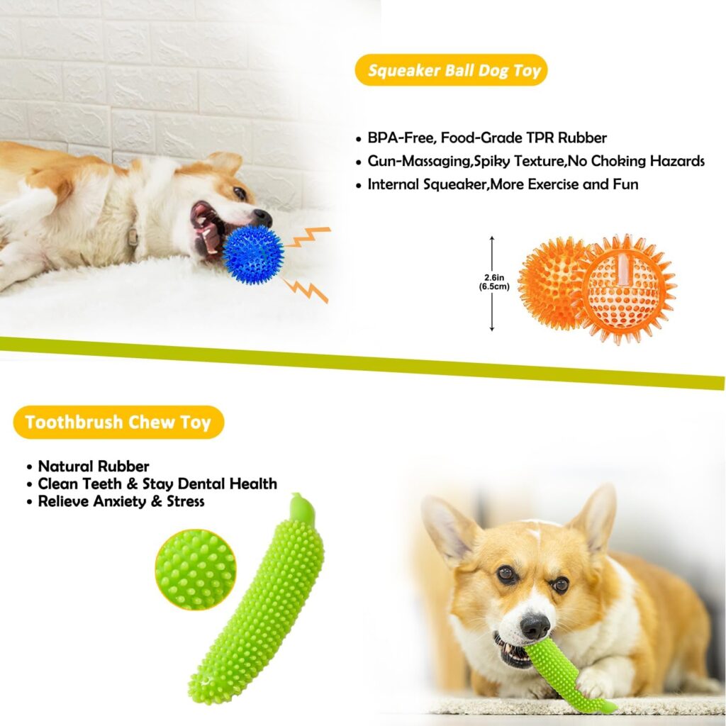 Textured Squeaky Dog Chew Toy view 3